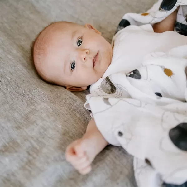 imageLittle Unicorn  Charcoal Hedgehog Cotton Muslin Swaddle Blanket Set  Set of 2  100 Cotton  Super Soft  Newborns and Infants  Large 47 x 47  Machine WashablePlanetary Set of 1