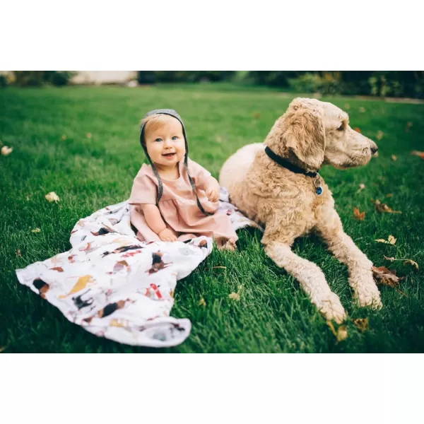 imageLittle Unicorn  Charcoal Hedgehog Cotton Muslin Swaddle Blanket Set  Set of 2  100 Cotton  Super Soft  Newborns and Infants  Large 47 x 47  Machine WashableWoof Set of 1