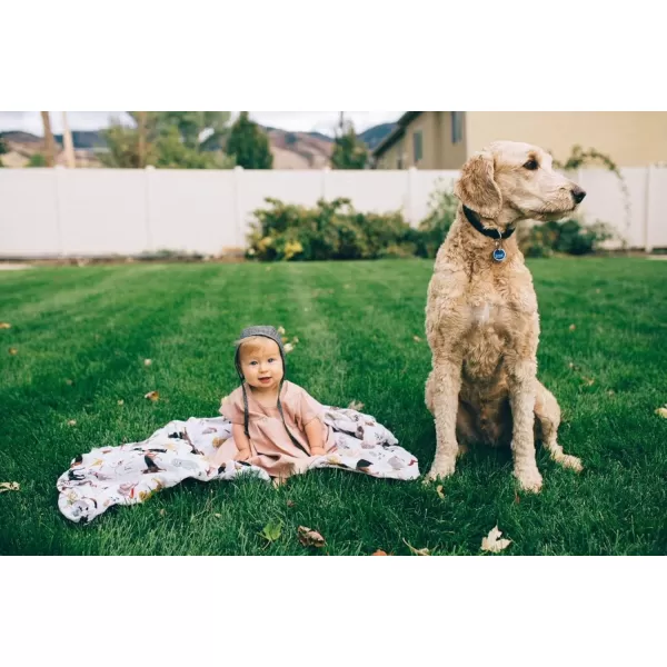 imageLittle Unicorn  Charcoal Hedgehog Cotton Muslin Swaddle Blanket Set  Set of 2  100 Cotton  Super Soft  Newborns and Infants  Large 47 x 47  Machine WashableWoof Set of 1