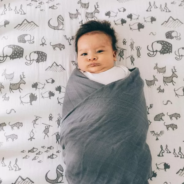 imageLittle Unicorn  Charcoal Hedgehog Cotton Muslin Swaddle Blanket Set  Set of 2  100 Cotton  Super Soft  Newborns and Infants  Large 47 x 47  Machine WashableCharcoal Hedgehog Set of 2