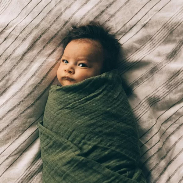 imageLittle Unicorn  Charcoal Hedgehog Cotton Muslin Swaddle Blanket Set  Set of 2  100 Cotton  Super Soft  Newborns and Infants  Large 47 x 47  Machine WashableFern Set of 1