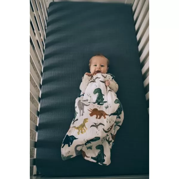 imageLittle Unicorn  Grey Stripe Cotton Muslin Quilted Sleep Bag  100 Cotton  Super Soft and Lightweight  Baby  Size XLarge 1824 Months  Machine Washable  26 TOGLarge Dino Friends