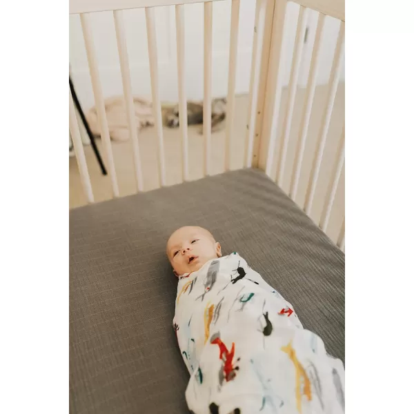 imageLittle Unicorn  Safari Social Deluxe Swaddle Set  Set of 2  100 Rayon Muslin from Bamboo  Super Soft  Newborns and Infants  Large 47 x 47  Machine WashableAir Show Single