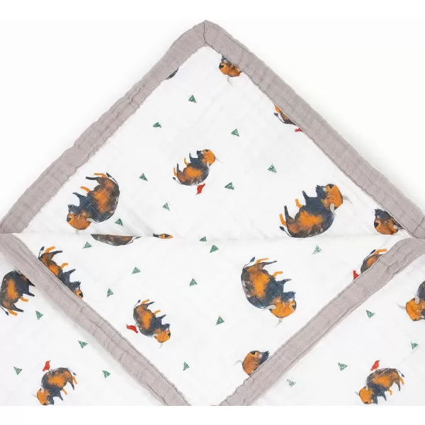imageLittle Unicorn  Watercolor Roses Cotton Muslin Quilt Blanket  100 Cotton  Super Soft  Babies and Toddlers  Large 47 x 47  Machine Washable60 x 72 Bison