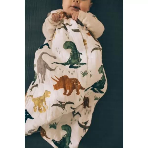 imageLittle Unicorn  Watercolor Roses Cotton Muslin Sleep Bag  100 Cotton  Super Soft and Lightweight  Baby  Size XLarge 1824 Months  Machine Washable  11 TOGSmall Dino Friends