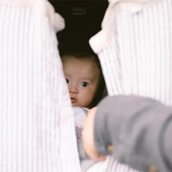 imageLittle Unicorn 100 Cotton Muslin Car Seat Canopy  Super Soft Lightweight Cover with Window  Breathable  Magnetic Closure  Baby and Infant  Machine Washable  Shower Gift  Dino FriendsGrey Stripe