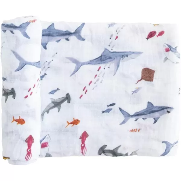 Shark Set of 1