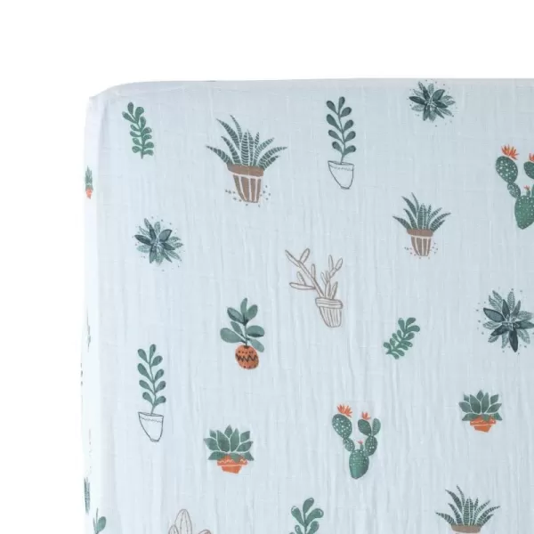 Prickle Pots