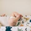 imageLittle Unicorn Premium Changing Pad Cover  Extra Soft ampamp Breathable Muslin Fabric FernDino Friends