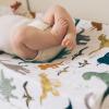 imageLittle Unicorn Premium Changing Pad Cover  Extra Soft ampamp Breathable Muslin Fabric FernDino Friends