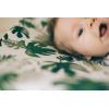 imageLittle Unicorn Premium Changing Pad Cover  Extra Soft ampamp Breathable Muslin Fabric FernTropical Leaf