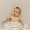 imageLittle Unicorn Premium Stretch Knit Crib Sheet Super Soft with Optimal Stretch Dino PalsPebble