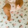 imageLittle Unicorn Premium Stretch Knit Crib Sheet Super Soft with Optimal Stretch Dino PalsWatercolor Rose