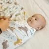 imageLittle Unicorn Large Stretch Knit Swaddle Blanket 2 Pack Super Soft with Optimal Stretch for swaddling  Giftable Set Dino PalsDino Pals
