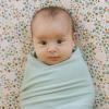 imageLittle Unicorn Large Stretch Knit Swaddle Blanket 2 Pack Super Soft with Optimal Stretch for swaddling  Giftable Set Dino PalsFrost Green