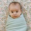 imageLittle Unicorn Large Stretch Knit Swaddle Blanket 2 Pack Super Soft with Optimal Stretch for swaddling  Giftable Set Dino PalsFrost Green