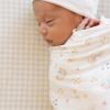 imageLittle Unicorn Large Stretch Knit Swaddle Blanket 2 Pack Super Soft with Optimal Stretch for swaddling  Giftable Set Dino PalsRainbows