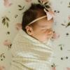 imageLittle Unicorn Large Stretch Knit Swaddle Blanket 2 Pack Super Soft with Optimal Stretch for swaddling  Giftable Set Dino PalsRainbows