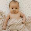 imageLittle Unicorn Large Stretch Knit Swaddle Blanket 2 Pack Super Soft with Optimal Stretch for swaddling  Giftable Set Dino PalsSoft Blush