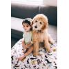 imageLittle Unicorn Newborn Receiving Quilt  Ultra Soft MultiLayered Muslin Fabric  Gift for Newborns ampamp onThego BisonWoof
