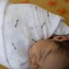 imageLittle Unicorn Premium Cotton Swaddle Baby Blanket  Breathable Fabric  for swaddling Play Nursing ampamp More Shooting StarsBats