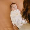 imageLittle Unicorn Premium Cotton Swaddle Baby Blanket  Breathable Fabric  for swaddling Play Nursing ampamp More Shooting StarsDesert Night