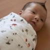 imageLittle Unicorn Premium Cotton Swaddle Baby Blanket  Breathable Fabric  for swaddling Play Nursing ampamp More Shooting StarsMushrooms