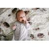 imageLittle Unicorn  Hedgehog Deluxe Swaddle  Single  100 Rayon Muslin from Bamboo  Super Soft  Newborns and Infants  Large 47 x 47  Machine Washable