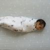 imageLittle Unicorn Premium Crib Sheet  Breathable ampamp SuperSoft Muslin Fabric Shooting StarsBlue Rainbow