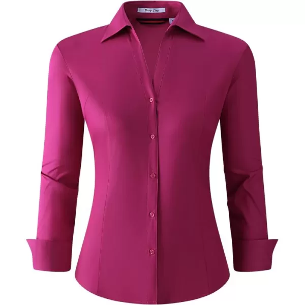 Alex Vando Womens Button Down Shirt Wrinkle Free Casual Long Sleeve Work Blouse Tops