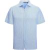 Blue Pinstripe 6974
