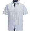 White Palm 6495