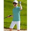 image:imageAlex Vando Boys Polo Shirt Hawaiian Golf Short Sleeve Moisture Wicking Quick Dry Stretch Print Casual Summer TopsGreensightseeing