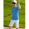 image:imageAlex Vando Boys Polo Shirt Hawaiian Golf Short Sleeve Moisture Wicking Quick Dry Stretch Print Casual Summer TopsRoyalblueswing
