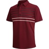 Burgundy Stripe 87
