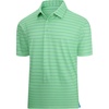 Green Stripe 79