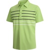 Ltgreen Stripe 87