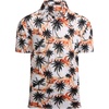 Black Palm Tree