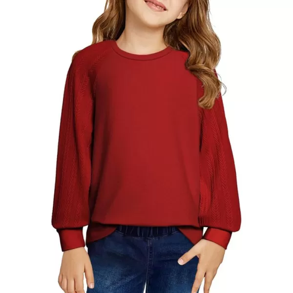 blibean Girls 2024 Fall Sweatshirt Tween Crewneck Cable Knit Tops Size 6-15 Years