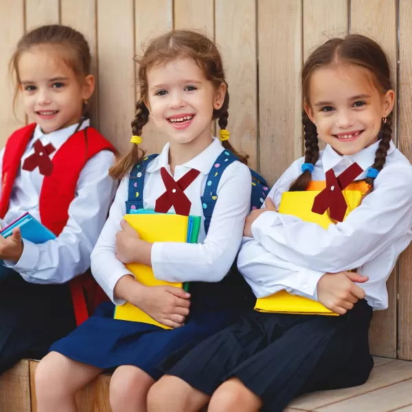 2 Pack French Girls Uniform Tie Cross Tie for Girls Adjustable Neck Tie School Uniform for Girl Cross Neck Tie Girl Neck Tie