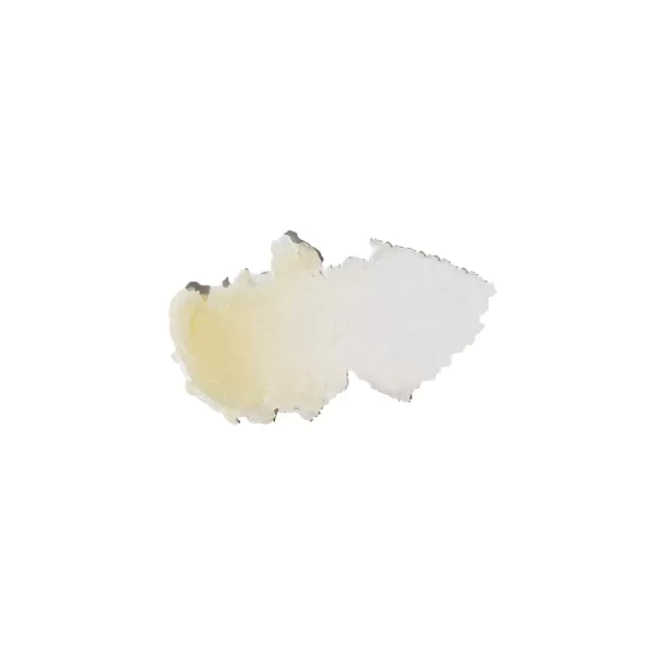 Sun Bum Pia Colada Cocobalm  Hydrating Lip Balm with Aloe  Hypoallergenic Paraben Free Silicone Free  015oz Stick 2048058Pina Colada