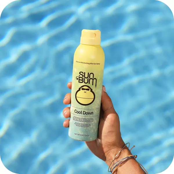 Sun Bum Original SPF 30 Sunscreen Scalp and Hair Mist I Vegan and Hawaii 104 Act Compliant Octinoxate Oxybenzone Free I Broad Spectrum UVAUVB Sunscreen Spray with Vitamin E I 2 OZHair Mist  Aloe Vera Spray