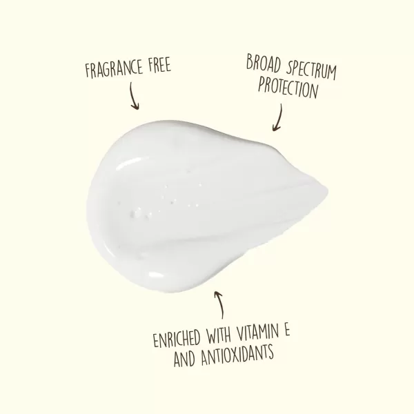Sun Bum Original SPF 70 Sunscreen Face Lotion  Vegan FragranceFree Moisturizing Broad Spectrum UVAUVB Sunscreen With Vitamin E  3 OzSPF 50