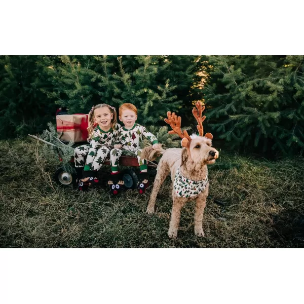Lazy One Flapjacks Matching Christmas Pajamas for the Dog Baby ampamp Kids Teens and AdultsNo Peeking Flapjack Onsie