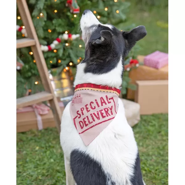 Lazy One Flapjacks Matching Christmas Pajamas for the Dog Baby ampamp Kids Teens and AdultsSpecial Delivery Flapjack Onesie