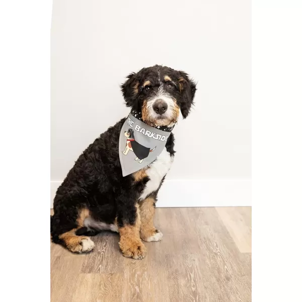LazyOne Dog Bandana Reversible Cotton Bandanas for All Dog Sizes Fur Baby SmallBark Side Dog Bandana