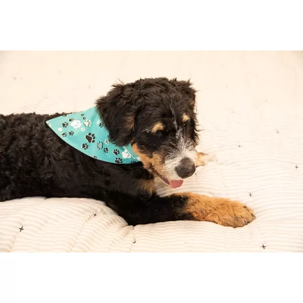 LazyOne Dog Bandana Reversible Cotton Bandanas for All Dog Sizes Fur Baby SmallFur Baby Dog Bandana
