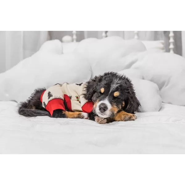 LazyOne Flapjacks OnePiece Dog Sweater Matching Family Pajamas for Dogs Moose Animal XSmallMoosletoe Dog Onesie