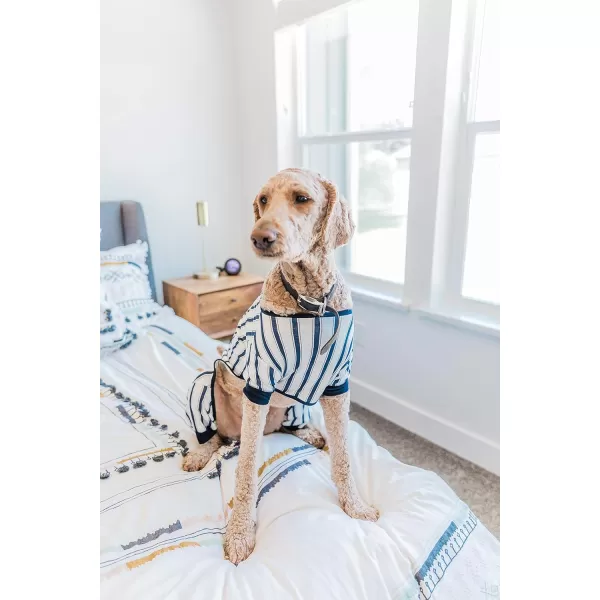 LazyOne Flapjacks OnePiece Dog Sweater Matching Family Pajamas for Dogs Moose Animal XSmallTicking Bear Dog Flapjack Onesie