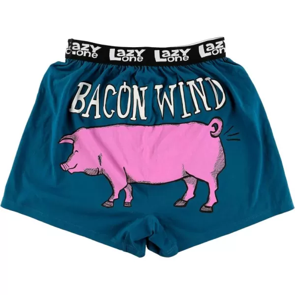 Lazy One Funny Animal Boxers Humorous Underwear Novelty Boxer Shorts Gag Gifts for MenBlue Bed Hog Boxers